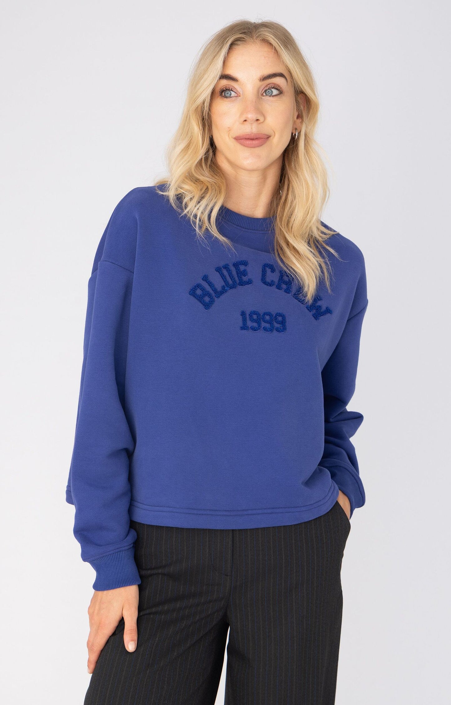 ANNA BLUE SWEATER BLUE CREW NEW BLUE PURPLE