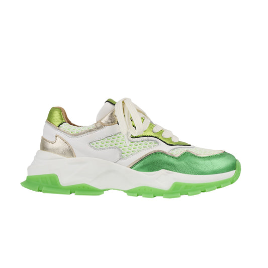 DWRS SNEAKERS CHESTER WHITE/GREEN